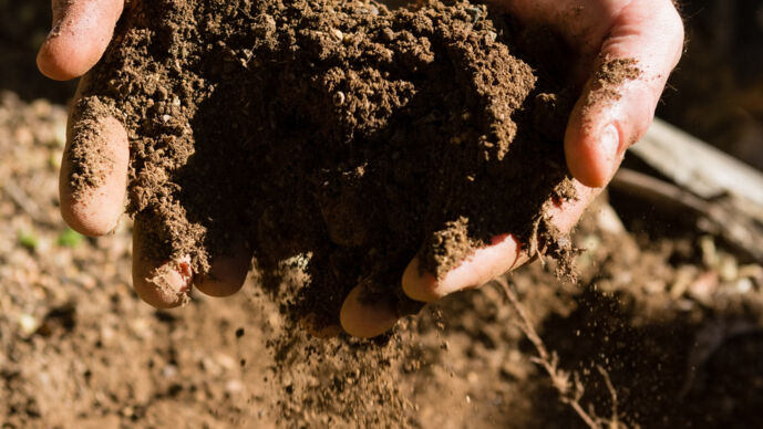 Händer som gräver i jord