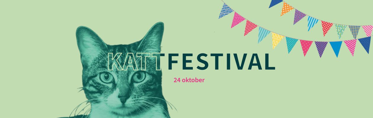 Header med bild på katt och texten kattfestival