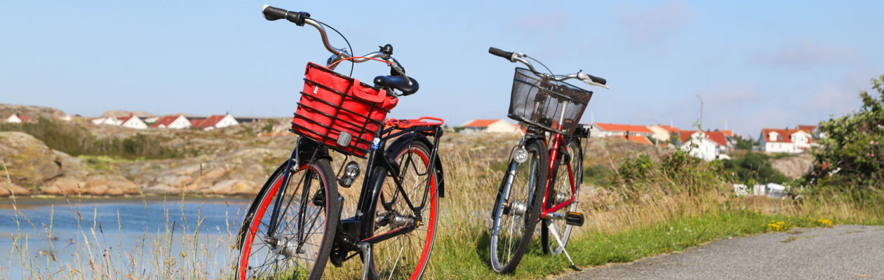 två cykler vid vägkant
