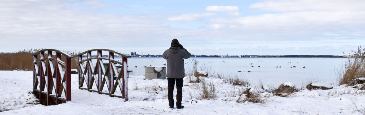 fågelskådare vinter