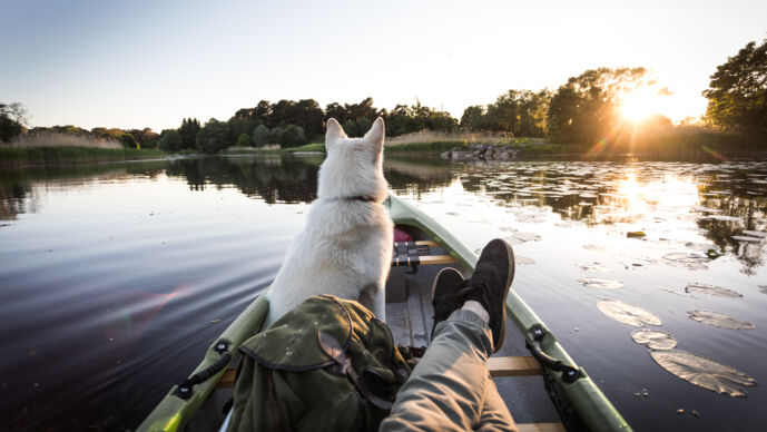 Hund och husse/matte.