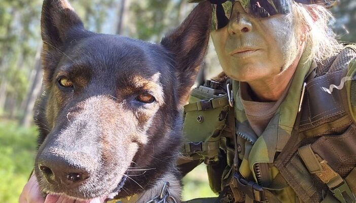 Patrullhund