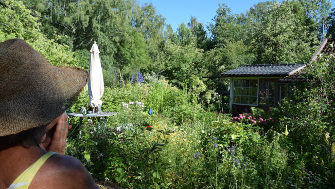 Besök i konstnären Kerstin Sundbaum trädgård i Hällekis
